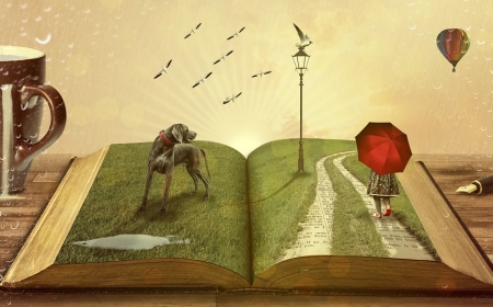 טיפול הוליסטי בילדים